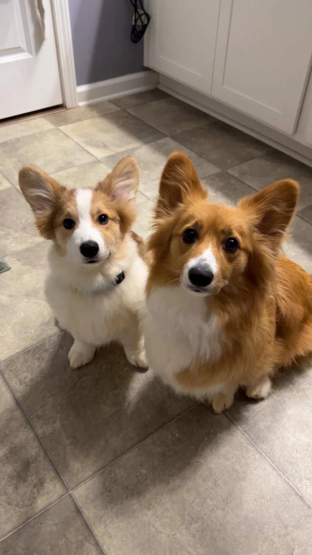 <em>Sarah M., Austin, TX</em>