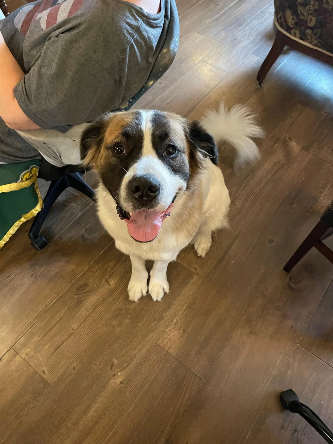 <em>Emily R., Seattle, WA</em>