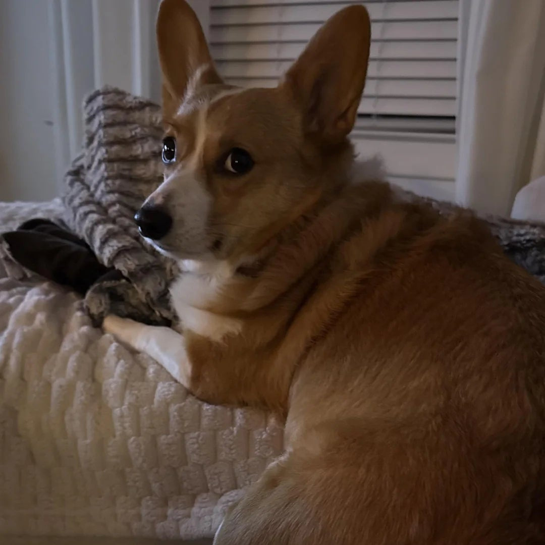 <em>Carlos T., Miami, FL</em>